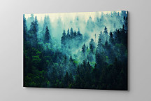 Obraz Čaro lesa zs1213